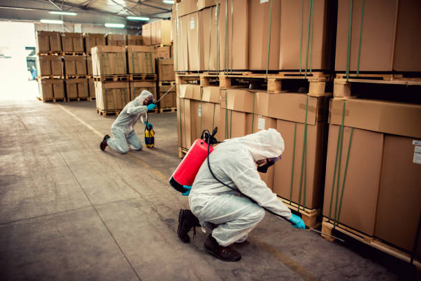 Pest Prevention Services in Fillmore, CA