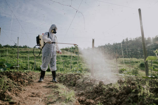 Best Commercial Pest Control Services  in Fillmore, CA