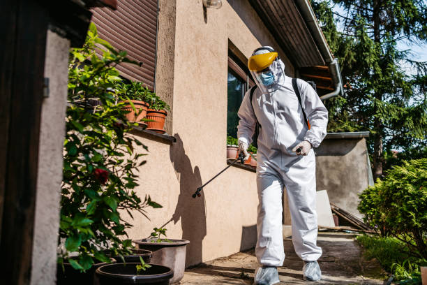 Best Affordable Pest Control Services  in Fillmore, CA