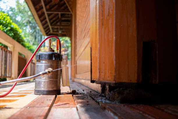 Best Wasp Removal Services  in Fillmore, CA